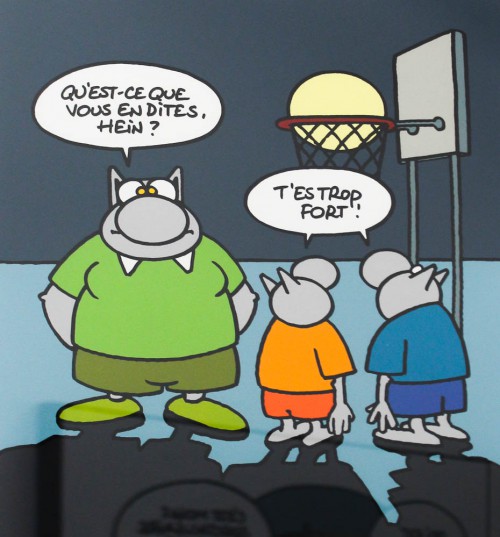 chat-geluck-7976