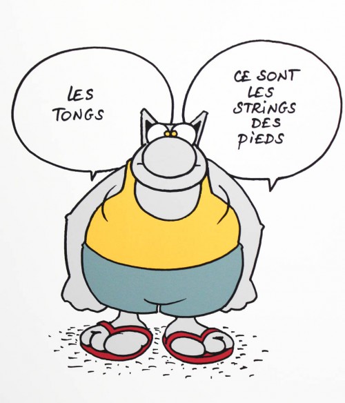 chat-geluck-7990