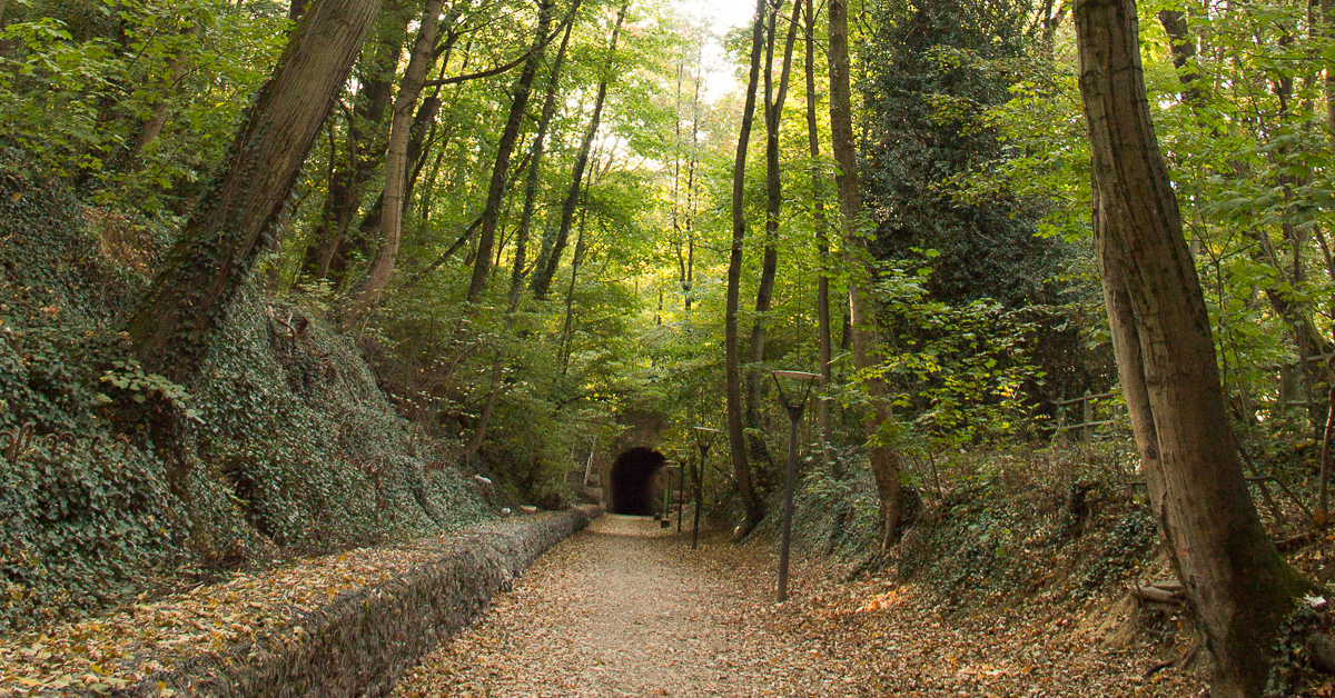Le parc de La Garde à LyonChampvert Sandrillon In Lyon